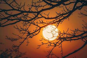 ai gegenereerd visie silhouet van boom takken onder de warm gloed van herfst zon foto