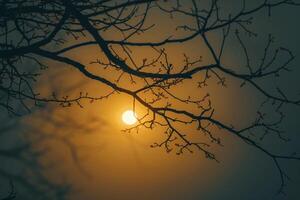 ai gegenereerd boom takken silhouet onder de herfst zon, een vredig tafereel foto