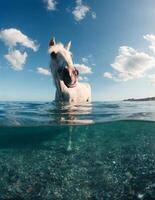 wit paard zwemt in de zee foto