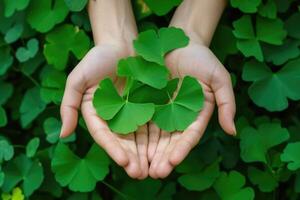 ai gegenereerd haarmos of ginkgo biloba bladeren. genezing fabriek in traditioneel Chinese geneeskunde foto