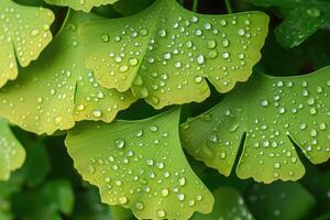 ai gegenereerd haarmos of ginkgo biloba bladeren. genezing fabriek in traditioneel Chinese geneeskunde foto