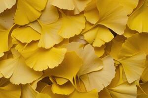 ai gegenereerd haarmos of ginkgo biloba bladeren. genezing fabriek in traditioneel Chinese geneeskunde foto