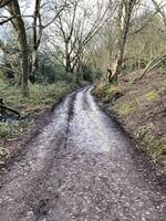 een visie van de Cheshire platteland Bij peckforton foto