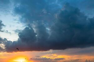 cloudscape Bij zonsondergang met meeuwen. foto