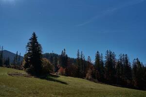 visie van de herfst bergen in Slowakije foto