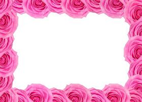 bloem kader van roze rozen patroon geïsoleerd Aan wit achtergrond foto
