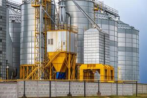 silo's Aan agro-industrieel complex met zaad schoonmaak en drogen lijn voor graan opslagruimte foto
