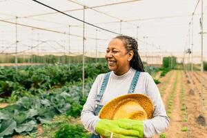gelukkig Afrikaanse boer werken binnen agrarisch kas - boerderij mensen levensstijl concept foto