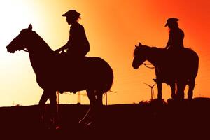 jong mensen rijden paarden Bij zonsondergang tijd - silhouet te paard reizen mensen hebben pret verkennen wild natuur - dieren passie en ruiter levensstijl concept foto