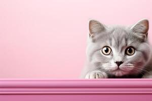 ai gegenereerd schattig jong grijs kat gluren uit tegen een roze achtergrond foto