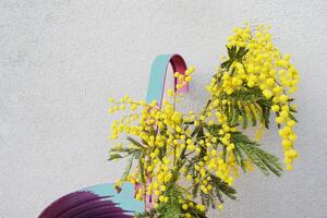 de mimosa bloem foto