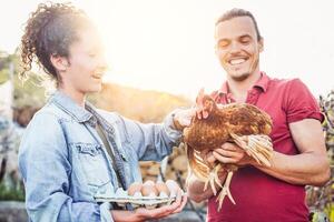gelukkig paar van landbouwer plukken omhoog vers eieren in kippenhok boerderij Bij zonsondergang - jong boeren werken in de fabriek huis - concept van mensen teler fokken productie, vegetariër en landbouw foto