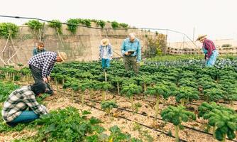 groep van boeren werken in agrarisch land- - boerderij mensen levensstijl concept foto