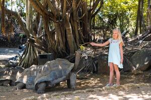 pret familie vermaak in Mauritius. een meisje feeds een reusachtig schildpad Bij de Mauritius eiland dierentuin foto