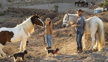 gelukkig paar hebben pret met paarden binnen stal - jong boeren sharing tijd met dieren in corral boerderij - menselijk en dieren verhouding levensstijl concept foto