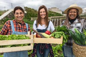 multiraciaal vrouw boeren werken in platteland oogsten vers groenten - boerderij mensen levensstijl concept foto