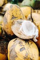 geel kokosnoten zijn verkocht in de markt van de eiland van Mauritius. besnoeiing een jong kokosnoot met makoto. veel kokosnoten Aan de markt foto