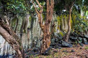 rots en bomen Aan Mauritius eiland in de buurt rotchester valt foto