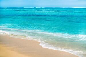 de strand in le morne-brabant.koraal rif van de eiland van Mauritius foto