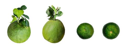 vers groen pomelo en groen oranje geïsoleerd Aan wit foto