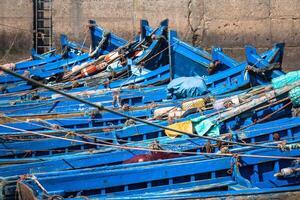 veel van blauw visvangst boten in de haven van Essaouira, Marokko foto