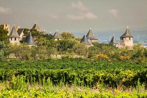 wijngaarden groeit buiten de middeleeuws vesting van carcassonne in Frankrijk foto