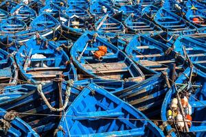 veel van blauw visvangst boten in de haven van Essaouira, Marokko foto