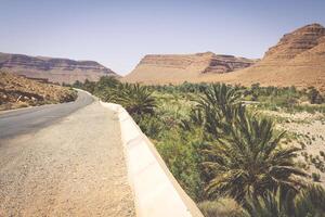 breed visie van Ravijn en gecultiveerd velden en palmen in errachidia vallei Marokko noorden Afrika Afrika foto