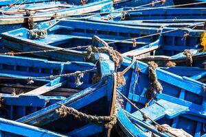 veel van blauw visvangst boten in de haven van Essaouira, Marokko foto