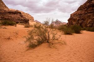 wadi rum woestijn in Jordanië. Aan de zonsondergang. panorama van mooi zand patroon Aan de duin. woestijn landschap in Jordanië. foto