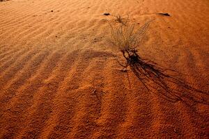 wadi rum woestijn in Jordanië. Aan de zonsondergang. panorama van mooi zand patroon Aan de duin. woestijn landschap in Jordanië. foto