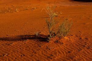 wadi rum woestijn in Jordanië. Aan de zonsondergang. panorama van mooi zand patroon Aan de duin. woestijn landschap in Jordanië. foto