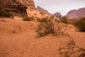 wadi rum woestijn in Jordanië. Aan de zonsondergang. panorama van mooi zand patroon Aan de duin. woestijn landschap in Jordanië. foto