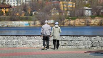 twee ouderen mensen zijn wandelen en Holding handen foto