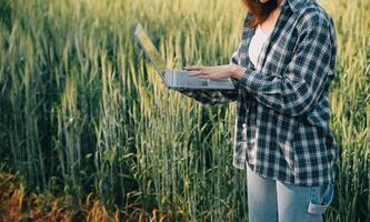 slim boerderij. boer met tablet in de veld. landbouw, tuinieren of ecologie concept. oogsten. agro bedrijf. foto