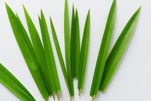 een culinaire odyssee met de mooi pandan blad, infuseren delicaat aroma's en levendig groen tinten in voortreffelijk borden, verheffen smaak profielen met van de natuur vers elegantie foto