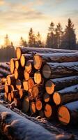 ai gegenereerd stapel van pijnboom logboeken in een winter Woud Bij zonsondergang verticaal mobiel behang foto