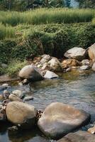 onderzoeken sentul bogor spectaculair watervallen en Woud paden. een wandelen avontuur met vrienden in Gunung pancar. verbijsterend fotografie - geweldig Indonesië foto