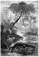 de inwoners van de trias periode, capitosaurië, Beldoux nothosauriër, wijnoogst gravure. foto