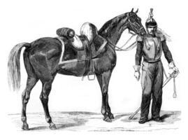 paard warm bloed van cavalerie, wijnoogst gravure. foto