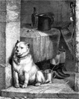 de knecht van de hond, door landseer, wijnoogst gravure. foto