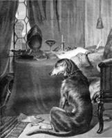 de meester van de hond, door landseer, wijnoogst gravure. foto