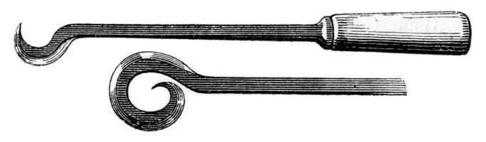 circulaire haken, wijnoogst gravure. foto