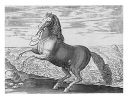 paard van Napels, wijnoogst illustratie. foto