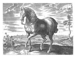 paard van Gelre, wijnoogst illustratie. foto