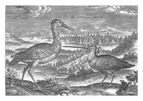 twee vogelstand in een landschap, adriaen collaert, 1598 - 1618 foto