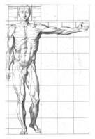 proportie studie van een man's lichaam foto