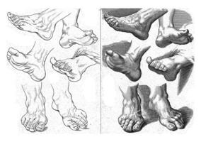 studie van verschillend voeten foto