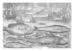 vier vis Aan de strand, adriaen collaert, 1627 - 1636 foto