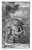 bergachtig landschap met een olifant, jan wandelaar, 1727 foto